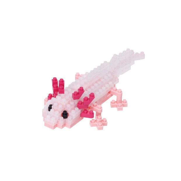 Axolotl