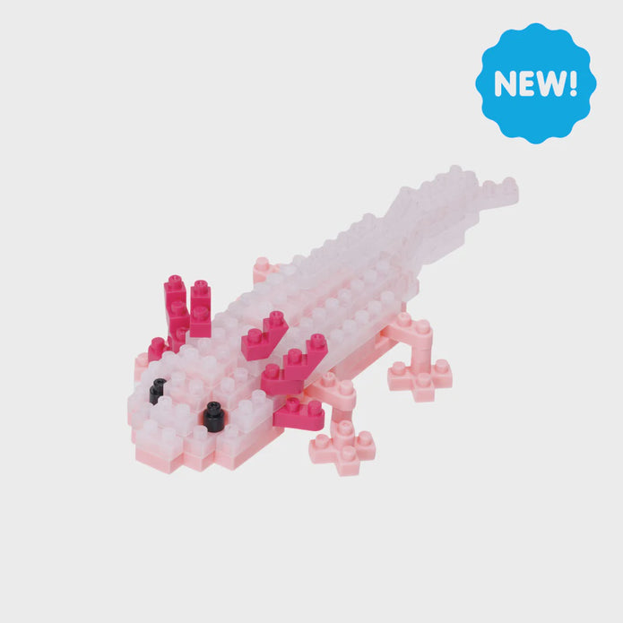 Axolotl