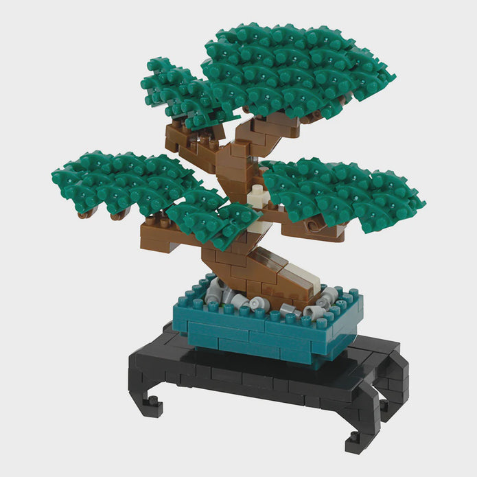 Bonsai Pine