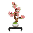 Bonsai Sakura