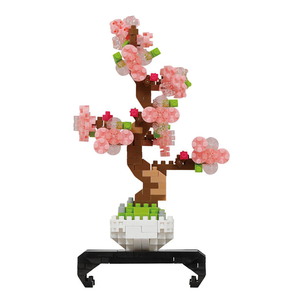 Bonsai Sakura