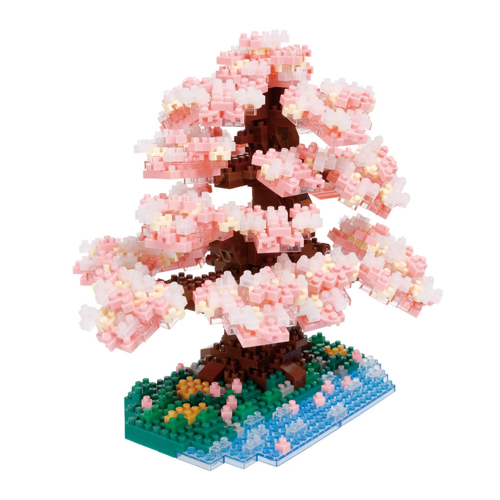 Bonsai Yoshino Cherry