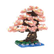 Bonsai Yoshino Cherry