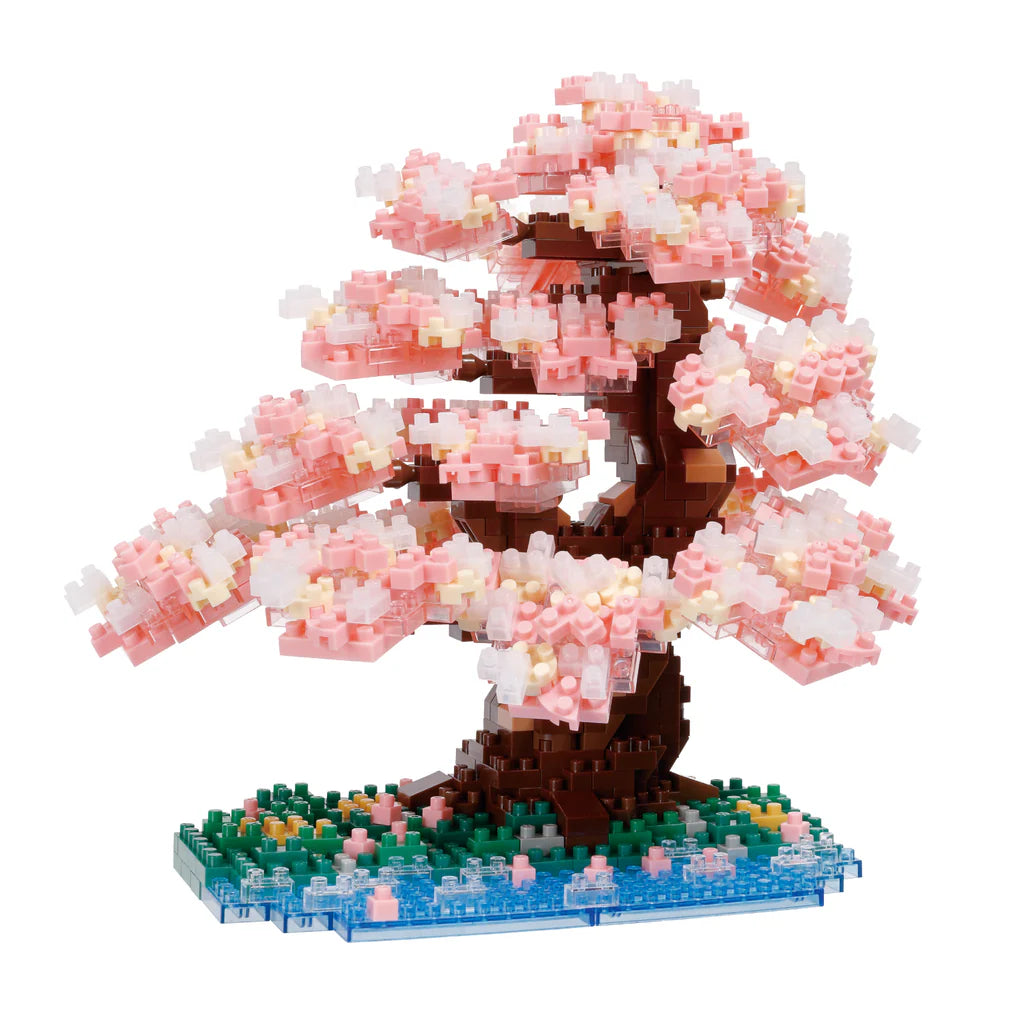 Bonsai Yoshino Cherry