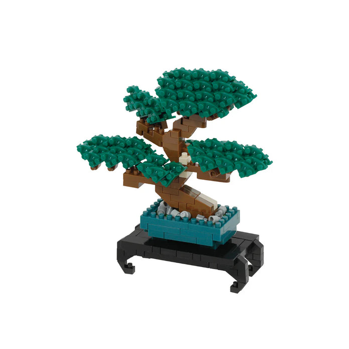 Bonsai Pine