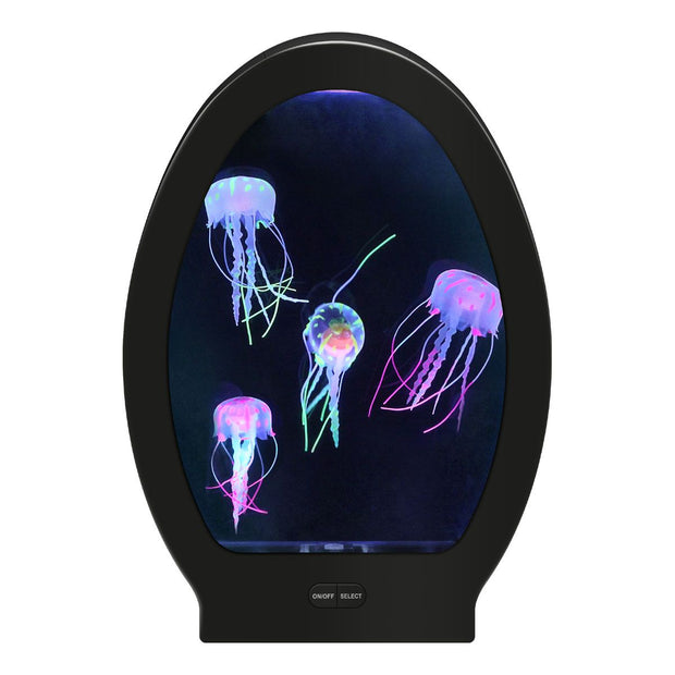 Arched Jellyfish Aquarium